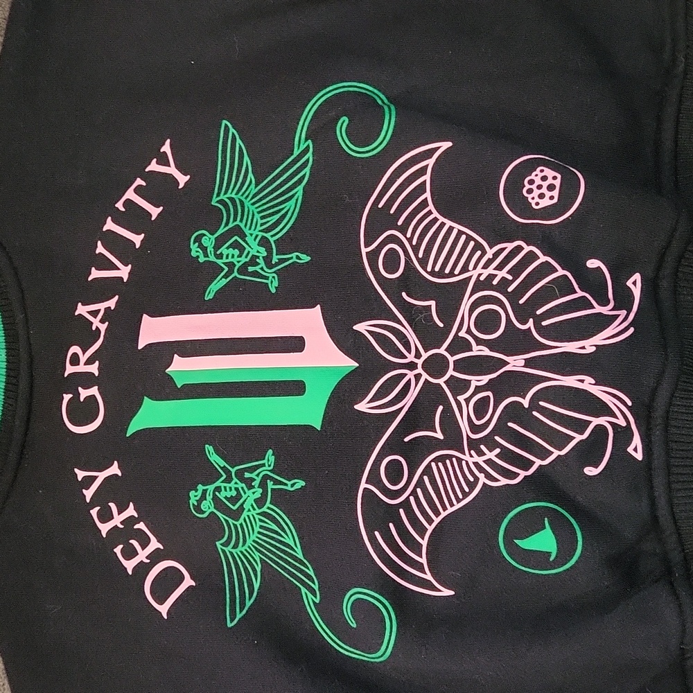 Wicked Jacket 💚🩷 - Picture 11 of 16